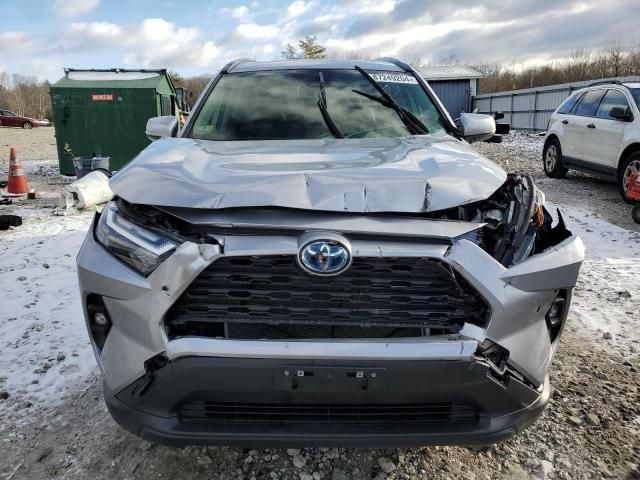 2023 Toyota Rav4 XLE Premium