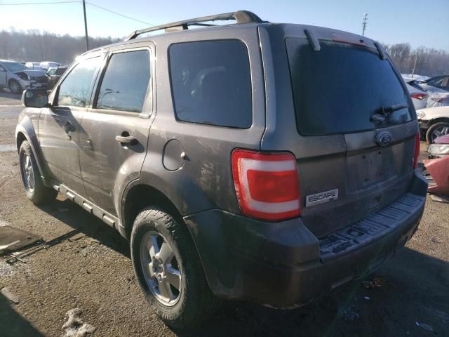 2011 Ford Escape XLT