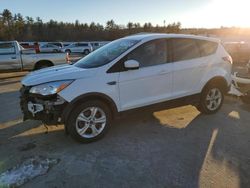 Salvage cars for sale at Windham, ME auction: 2016 Ford Escape SE