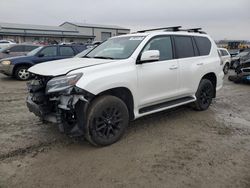 Salvage cars for sale at Earlington, KY auction: 2023 Lexus GX 460