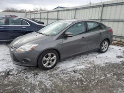 Salvage cars for sale at Albany, NY auction: 2014 Ford Focus SE