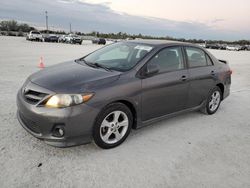 Salvage cars for sale at Arcadia, FL auction: 2013 Toyota Corolla Base