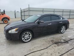 Nissan salvage cars for sale: 2011 Nissan Maxima S