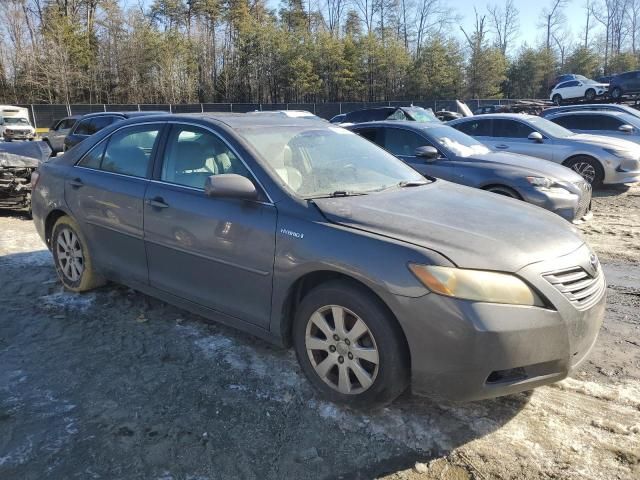 2009 Toyota Camry Hybrid