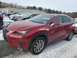 Salvage cars for sale at Exeter, RI auction: 2021 Lexus NX 300 Base