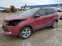 Ford salvage cars for sale: 2016 Ford Escape SE