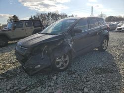 Ford Vehiculos salvage en venta: 2013 Ford Escape SE