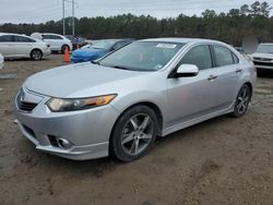 2013 Acura TSX SE en venta en Greenwell Springs, LA