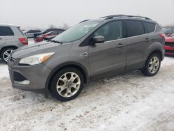 Ford salvage cars for sale: 2013 Ford Escape SE