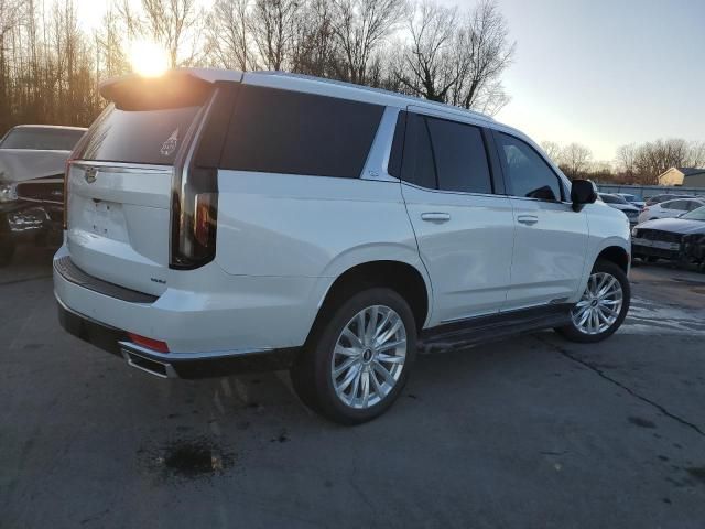 2021 Cadillac Escalade Luxury