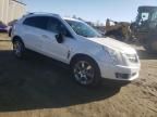 2011 Cadillac SRX Performance Collection