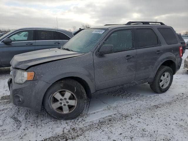 2010 Ford Escape XLT