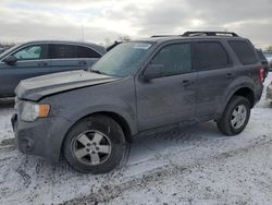 Salvage cars for sale at auction: 2010 Ford Escape XLT