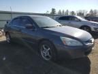 2005 Honda Accord EX