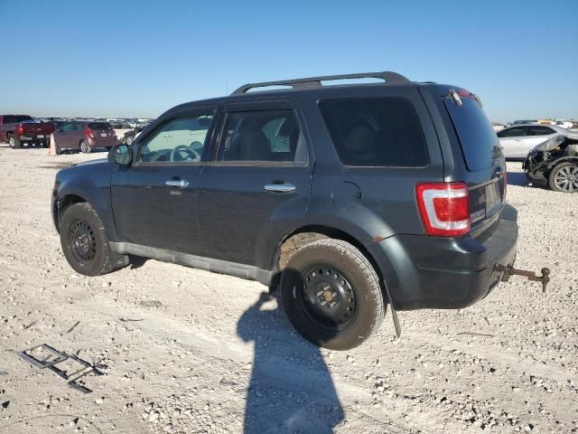 2009 Ford Escape XLT