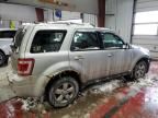 2009 Ford Escape Limited