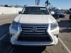 2019 Lexus GX 460 Premium