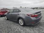 2013 Lexus ES 300H