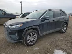 2023 Toyota Rav4 XLE en venta en Rocky View County, AB