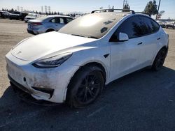 Tesla salvage cars for sale: 2021 Tesla Model Y