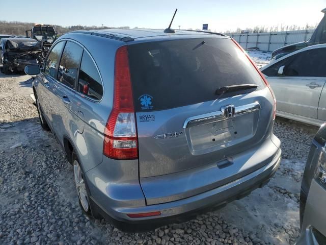 2010 Honda CR-V EXL