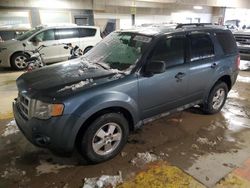 Carros salvage a la venta en subasta: 2012 Ford Escape XLT