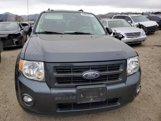 2009 Ford Escape Hybrid