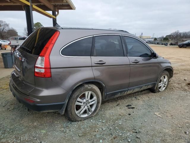 2010 Honda CR-V EXL