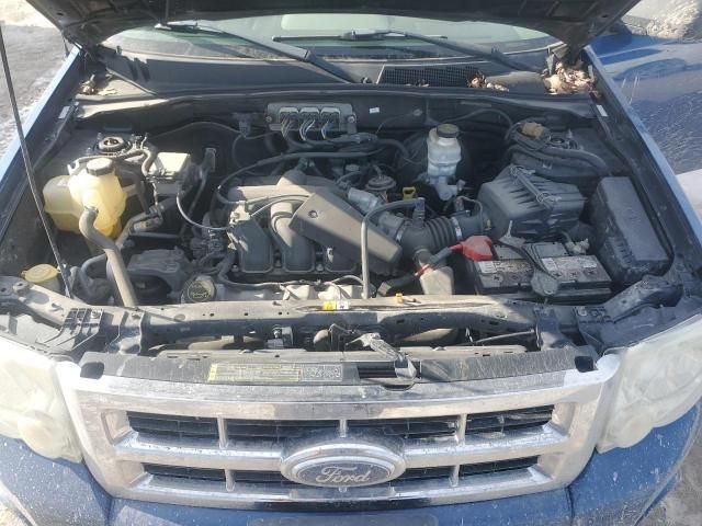 2008 Ford Escape XLT