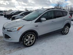 Clean Title Cars for sale at auction: 2013 Ford Escape SE