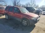 2004 Ford Escape XLT