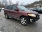 2009 Hyundai Santa FE SE