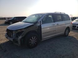 Honda Odyssey exl salvage cars for sale: 2008 Honda Odyssey EXL