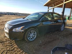 Salvage cars for sale at Tanner, AL auction: 2012 Nissan Maxima S