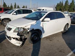 Salvage cars for sale at Rancho Cucamonga, CA auction: 2010 Toyota Corolla Base