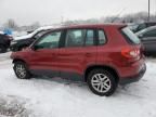 2011 Volkswagen Tiguan S