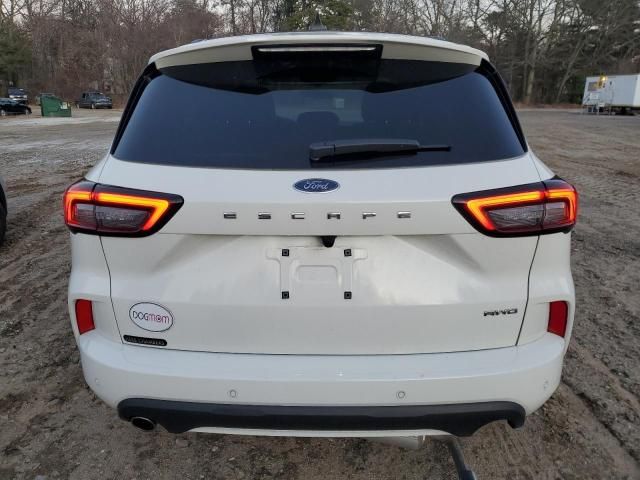 2023 Ford Escape ST Line