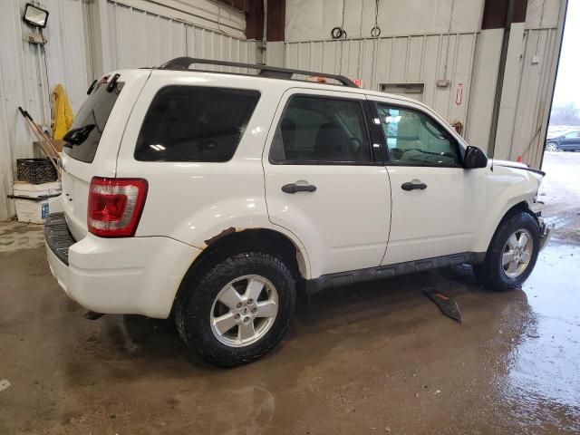 2011 Ford Escape XLT