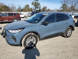 Salvage cars for sale at Hampton, VA auction: 2024 Ford Escape Active