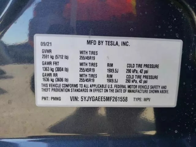 2021 Tesla Model Y