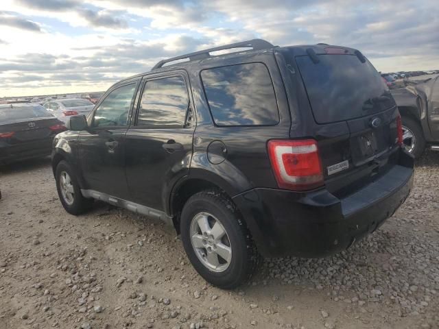 2010 Ford Escape XLT