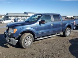 2013 Ford F150 Supercrew en venta en Earlington, KY