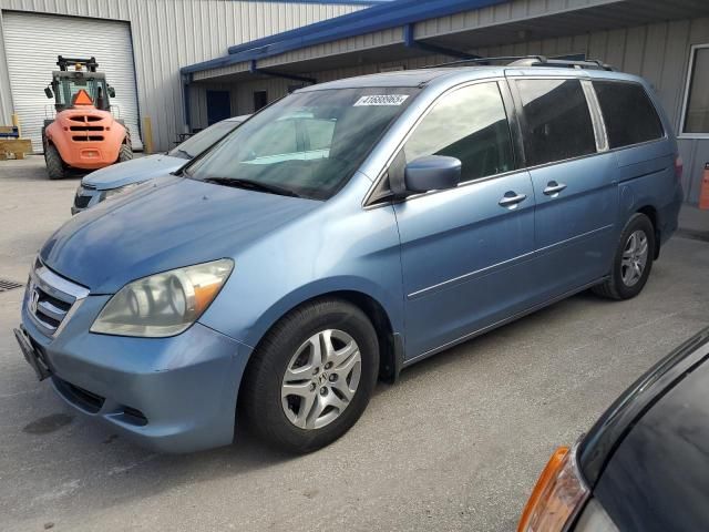 2005 Honda Odyssey EXL