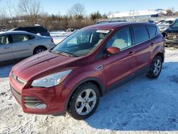 Carros con verificación Run & Drive a la venta en subasta: 2016 Ford Escape SE