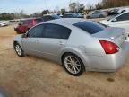 2006 Nissan Maxima SE