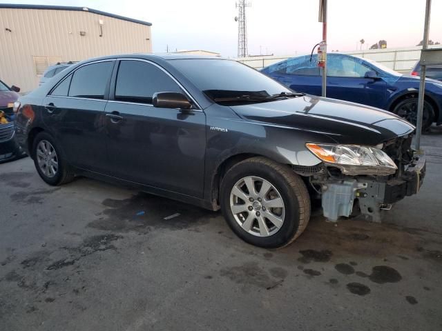 2009 Toyota Camry Hybrid