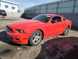 Salvage cars for sale at Albuquerque, NM auction: 2014 Ford Mustang