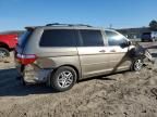 2005 Honda Odyssey EXL