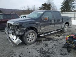 2014 Ford F150 Supercrew en venta en Grantville, PA