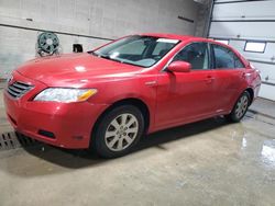 Toyota Camry Hybrid salvage cars for sale: 2008 Toyota Camry Hybrid